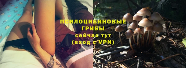 а пвп мука Алзамай