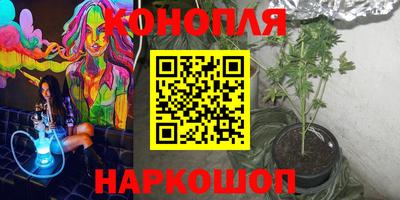 МДПВ Ачхой-Мартан