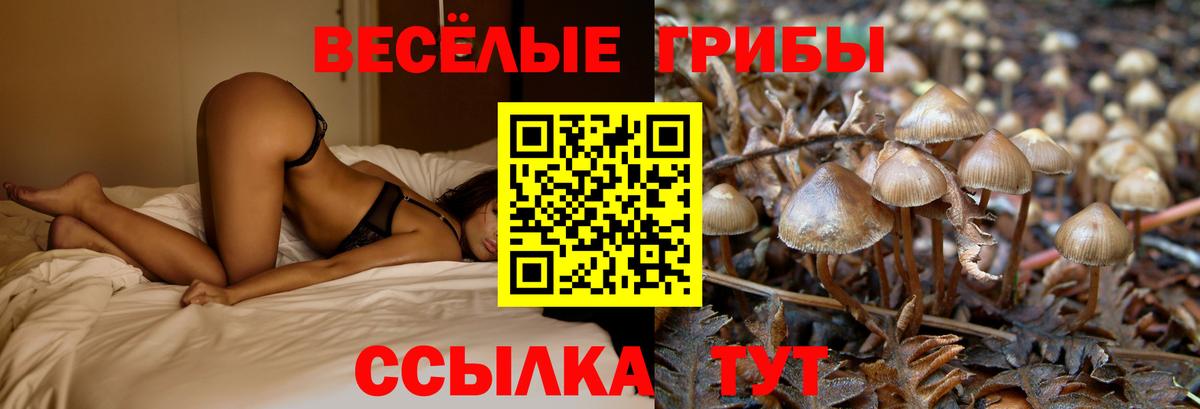 Псилоцибиновые грибы прущие грибы  Вход с VPN  Копейск 